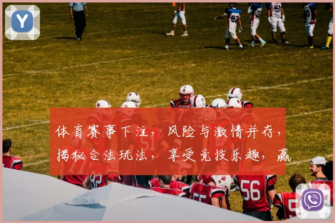 体育赛事下注，风险与激情并存，揭秘合法玩法，享受竞技乐趣，赢取丰厚回报