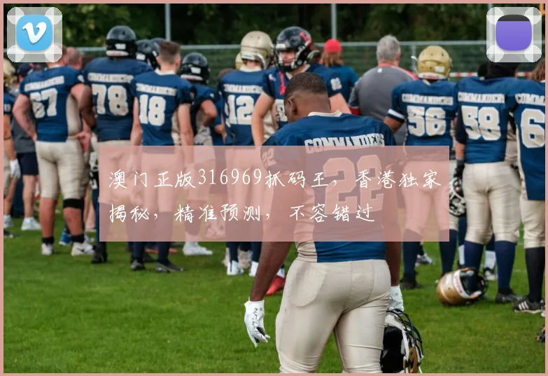 澳门正版316969抓码王，香港独家揭秘，精准预测，不容错过